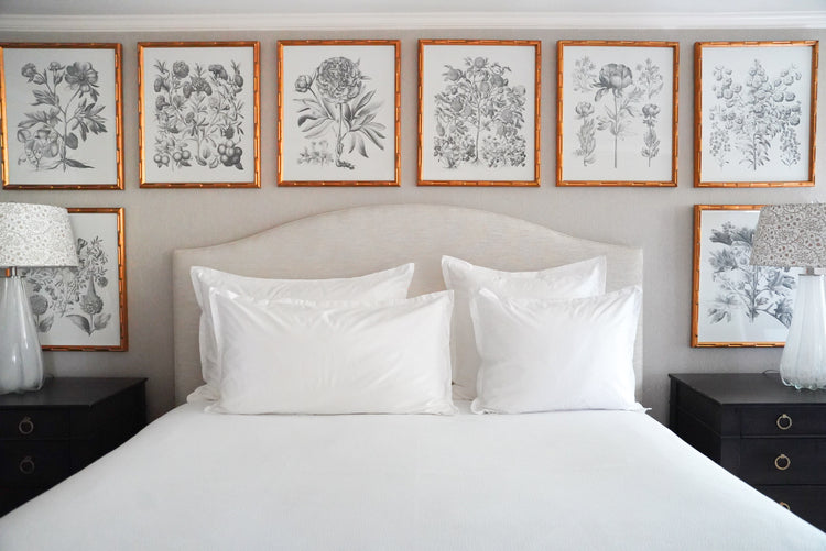 Caption: All Cotton Pillow Sham Sizes available.