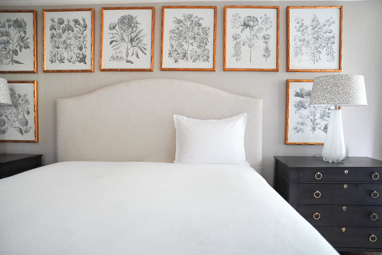 Caption: Standard Sham